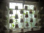 Biospheric Project